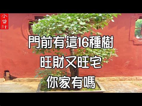 屋後有大樹|【房屋地種樹風水】樹木不可亂栽 